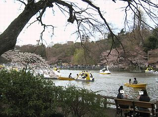 ２０１０お花見・１１