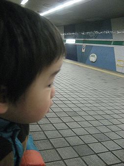 ２０１０暮れぶらんどん。