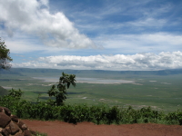 ンゴロゴロ全景