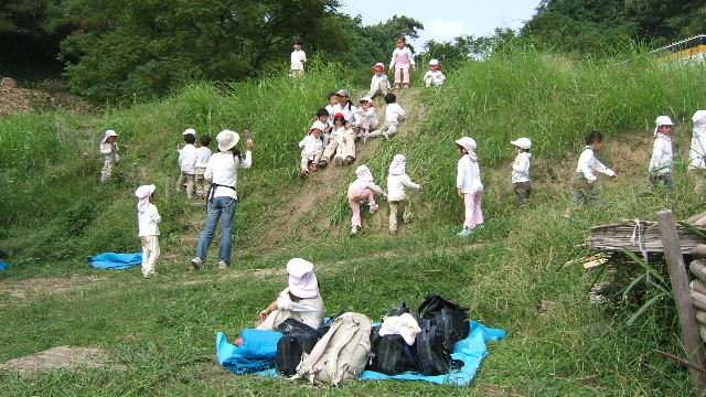 園児野遊び