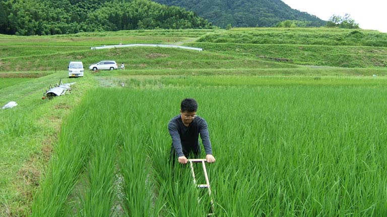 手押しの除草機