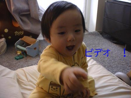 ビデオ