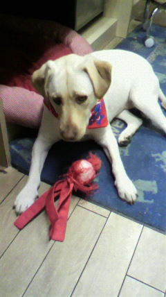 2011051415160001.jpg