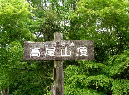 P1040864-1.JPG
