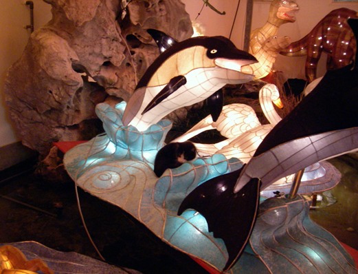 ランタンにゃんこ