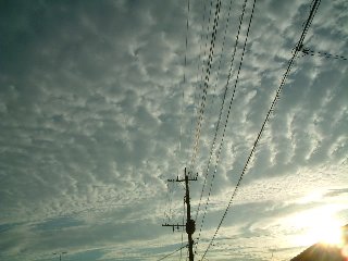 雲 00250%.jpg