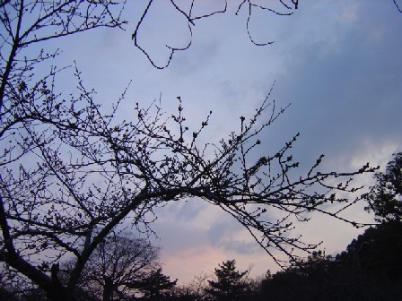 和歌山の夕焼け