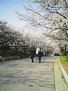 060412_0844~01.JPG
