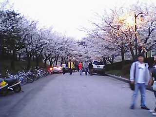 060411_1903~01.JPG