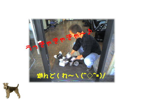 12.18 トロンくんお戯れ中～