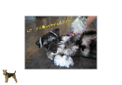 12.18 み、みてる!!!