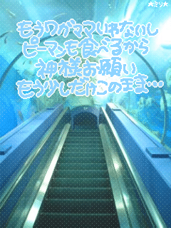 もうワガママいわないし