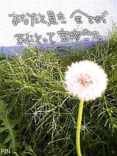 あなたと見た全てが