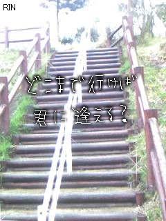 どこまで行けば