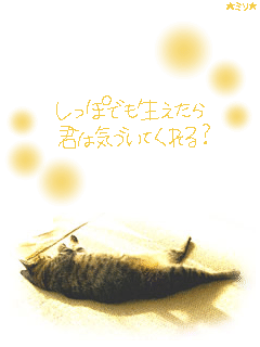 しっぽでも生えたら