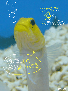 のがした魚は