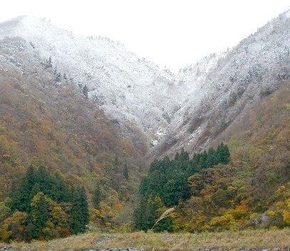 紅葉と雪山１.JPG