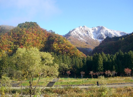 紅葉と雪山２.JPG