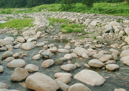 ８月の魚野川.JPG