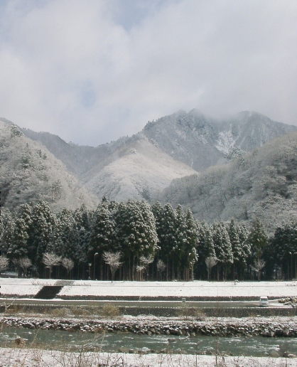 最後の雪景色～？１.JPG