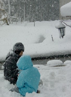 雪にまみれて.JPG