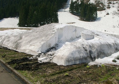 雪消し２.JPG