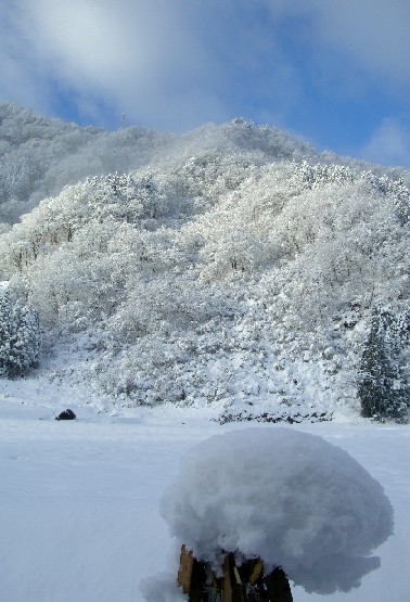 ２００６二度目の雪１.JPG