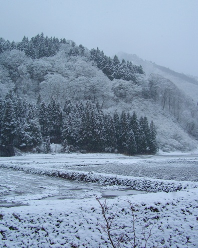 2007.4初雪？.JPG