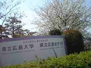 県立広島大学の桜