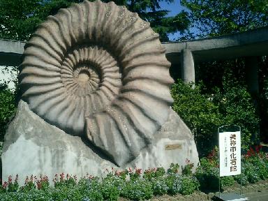 美祢市化石館２