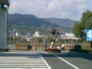 新工兵橋付近の横断歩道