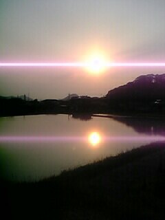 水田に映る夕日