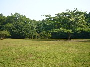 森林公園