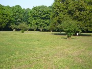 森林公園