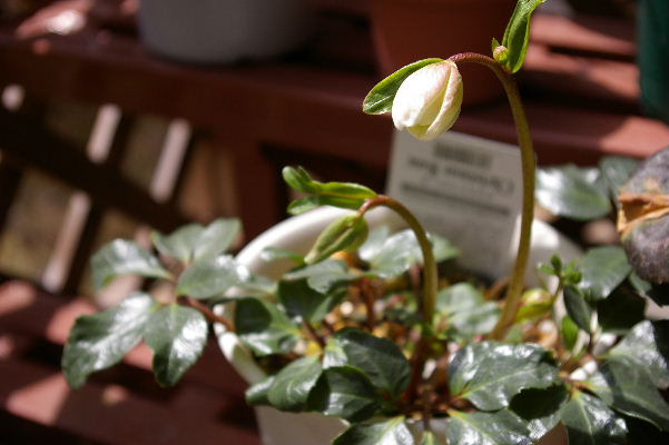 2008_04150270.JPG