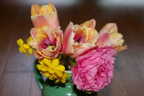 2008_04280042.JPG