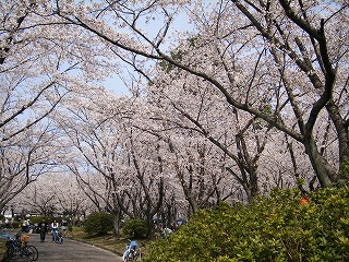 s-DSCF0029.jpg