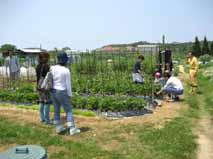 山口家農園