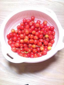 sakuranbo.jpg