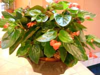 DSCF0668.jpg
