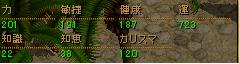 シフステ狩