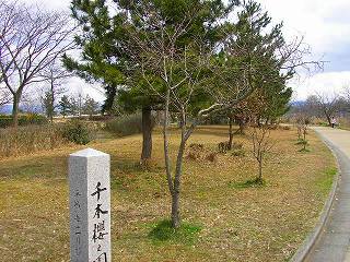 SANY2773Resized.jpg