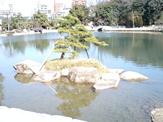 080315_1419~0001.jpg