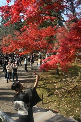 東福寺４.JPG