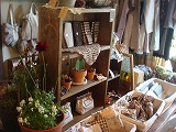 DSC01652.jpg