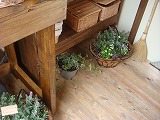 DSC01676.jpg