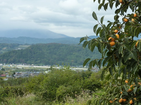 P1030380.jpg