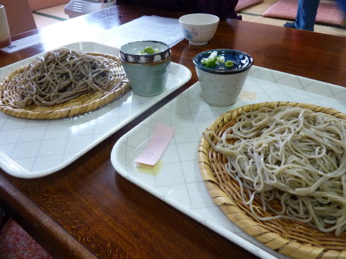 P1030392.jpg