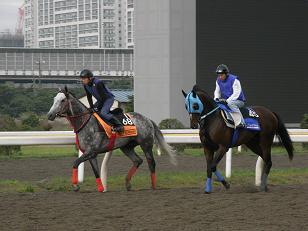 シーチャリオット＆ディープサマー