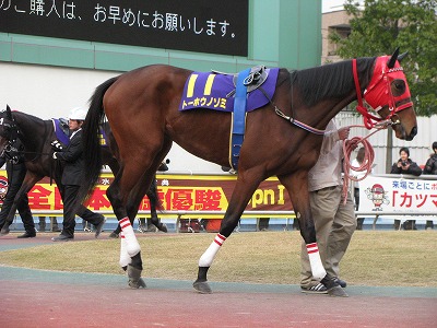 トーホウノゾミ.jpg